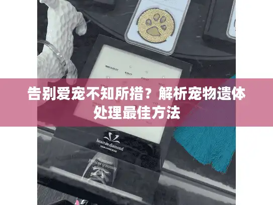 告别爱宠不知所措?解析宠物遗体处理最佳方法 告别爱宠不知所措?解析宠物遗体处理最佳方法