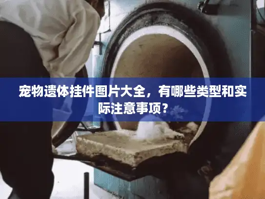 宠物遗体挂件图片大全，有哪些类型和实际注意事项？