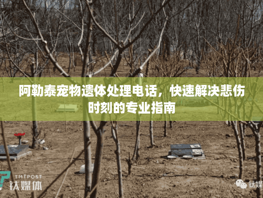 阿勒泰宠物遗体处理电话，快速解决悲伤时刻的专业指南