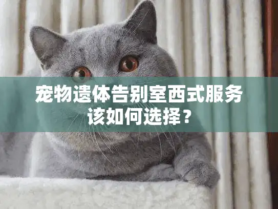 宠物遗体告别室西式服务该如何选择？