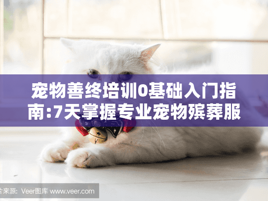 宠物善终培训0基础入门指南:7天掌握专业宠物殡葬服务技能