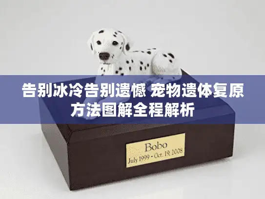 告别冰冷告别遗憾 宠物遗体复原方法图解全程解析