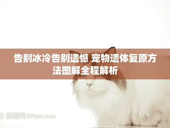 告别冰冷告别遗憾 宠物遗体复原方法图解全程解析