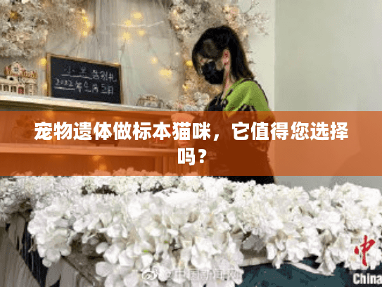 宠物遗体做标本猫咪,它值得您选择吗? 宠物遗体做标本猫咪,它值得您选择吗?