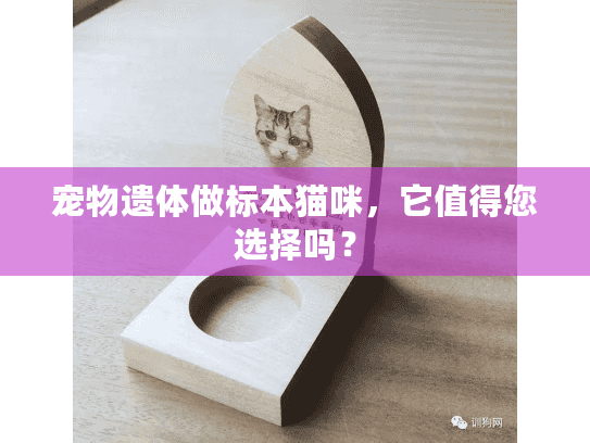 宠物遗体做标本猫咪,它值得您选择吗? 宠物遗体做标本猫咪,它值得您选择吗?