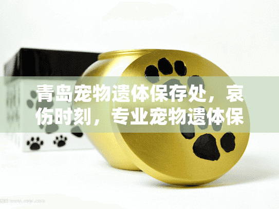 青岛宠物遗体保存处,哀伤时刻,专业宠物遗体保存服务如何帮你? 青岛宠物遗体保存处,哀伤时刻,专业宠物遗体保存服务如何帮你?