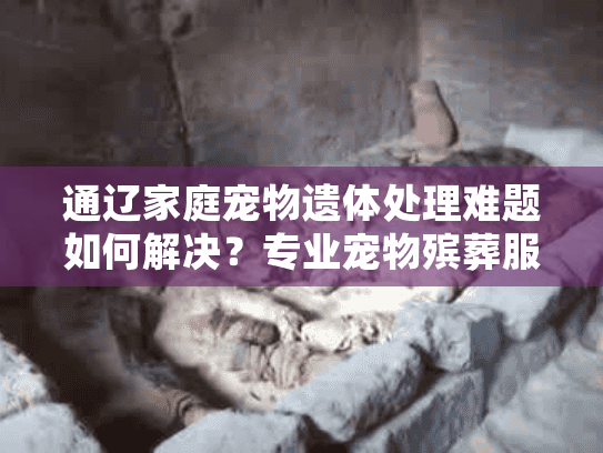 通辽家庭宠物遗体处理难题如何解决？专业宠物殡葬服务完整指南