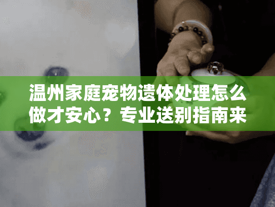 温州家庭宠物遗体处理怎么做才安心？专业送别指南来了
