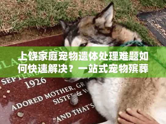 上饶家庭宠物遗体处理难题如何快速解决？一站式宠物殡葬服务指南