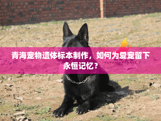 青海宠物遗体标本制作，如何为爱宠留下永恒记忆？