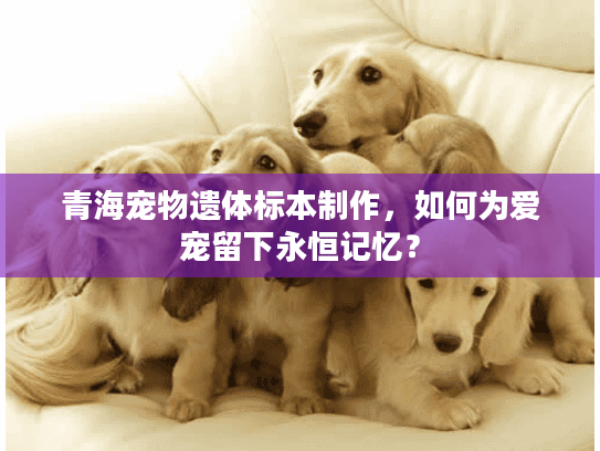 青海宠物遗体标本制作，如何为爱宠留下永恒记忆？