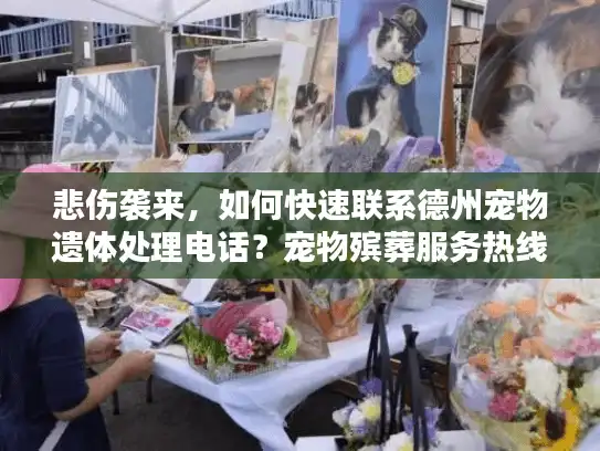 悲伤袭来，如何快速联系德州宠物遗体处理电话？宠物殡葬服务热线指南