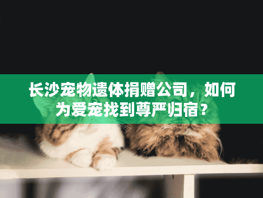 长沙宠物遗体捐赠公司,如何为爱宠找到尊严归宿? 长沙宠物遗体捐赠公司,如何为爱宠找到尊严归宿?