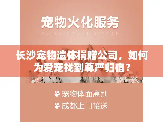 长沙宠物遗体捐赠公司,如何为爱宠找到尊严归宿? 长沙宠物遗体捐赠公司,如何为爱宠找到尊严归宿?
