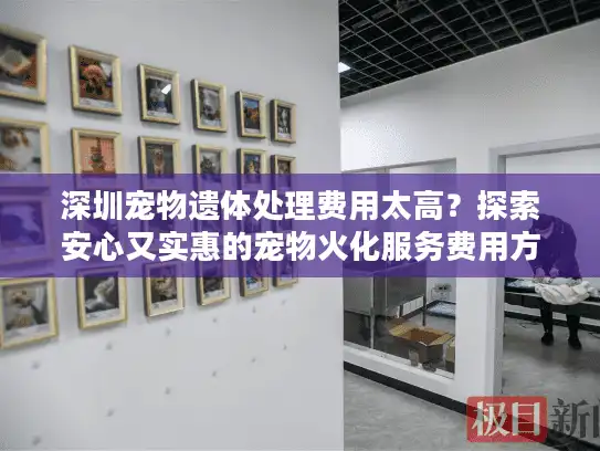深圳宠物遗体处理费用太高？探索安心又实惠的宠物火化服务费用方案！