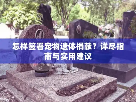 怎样签署宠物遗体捐献？详尽指南与实用建议