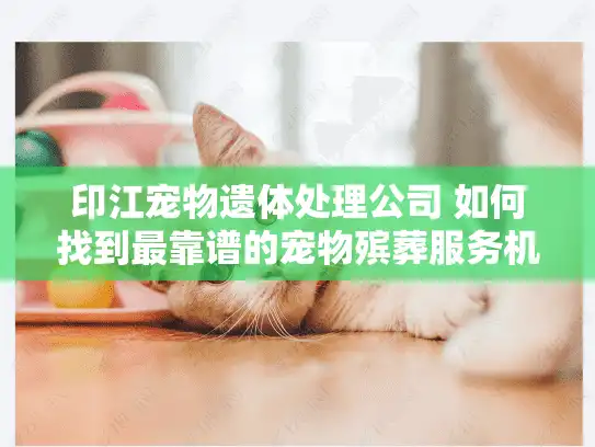 印江宠物遗体处理公司 如何找到最靠谱的宠物殡葬服务机构？