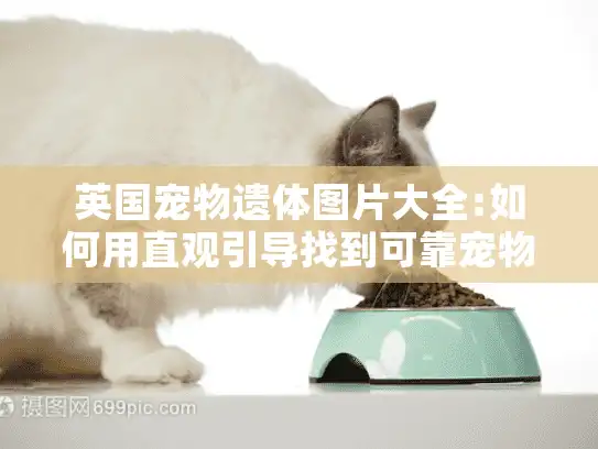 英国宠物遗体图片大全:如何用直观引导找到可靠宠物殡葬服务 英国宠物遗体图片大全:如何用直观引导找到可靠宠物殡葬服务