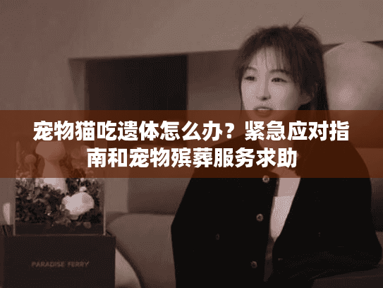 宠物猫吃遗体怎么办？紧急应对指南和宠物殡葬服务求助