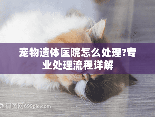 宠物遗体医院怎么处理?专业处理流程详解