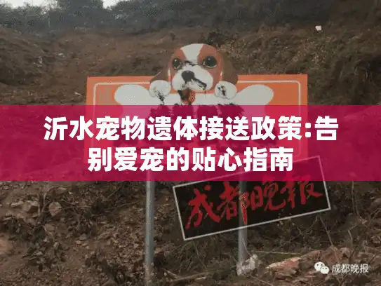 沂水宠物遗体接送政策:告别爱宠的贴心指南