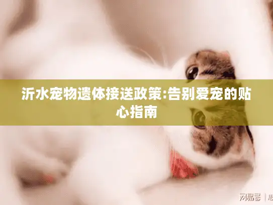 沂水宠物遗体接送政策:告别爱宠的贴心指南