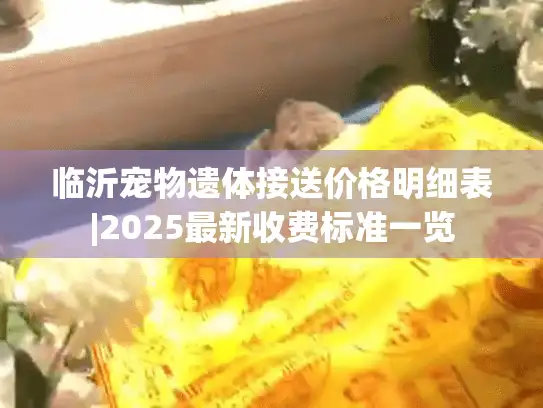 临沂宠物遗体接送价格明细表|2025最新收费标准一览