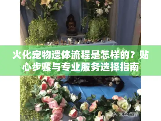 火化宠物遗体流程是怎样的？贴心步骤与专业服务选择指南