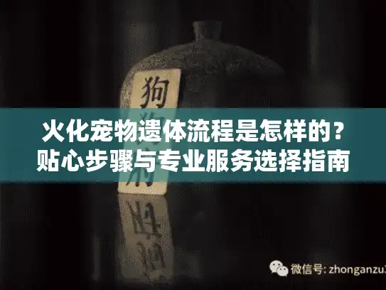 火化宠物遗体流程是怎样的？贴心步骤与专业服务选择指南