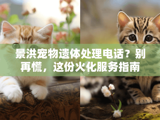 景洪宠物遗体处理电话?别再慌,这份火化服务指南帮你快速找对机构 景洪宠物遗体处理电话?别再慌,这份火化服务指南帮你快速找对机构