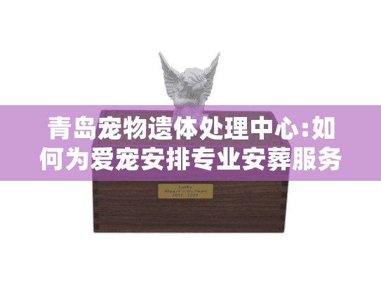 青岛宠物遗体处理中心:如何为爱宠安排专业安葬服务?