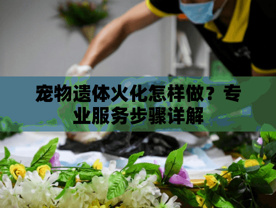 宠物遗体火化怎样做?专业服务步骤详解 宠物遗体火化怎样做?专业服务步骤详解