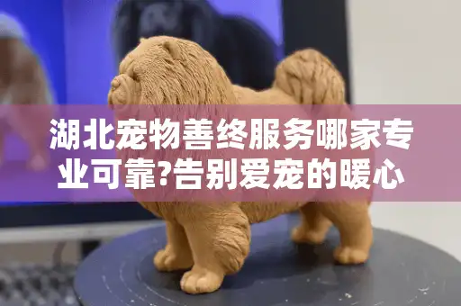 湖北宠物善终服务哪家专业可靠?告别爱宠的暖心选择指南 湖北宠物善终服务哪家专业可靠?告别爱宠的暖心选择指南