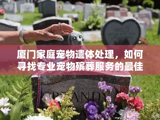 厦门家庭宠物遗体处理，如何寻找专业宠物殡葬服务的最佳途径