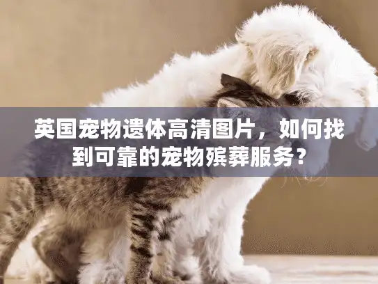 英国宠物遗体高清图片，如何找到可靠的宠物殡葬服务？