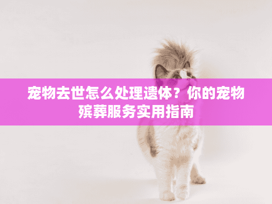 宠物去世怎么处理遗体？你的宠物殡葬服务实用指南
