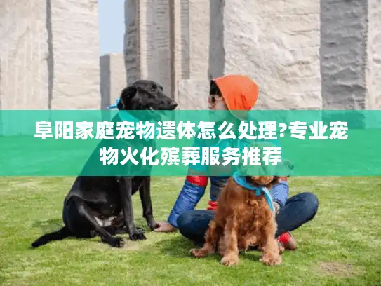 阜阳家庭宠物遗体怎么处理?专业宠物火化殡葬服务推荐