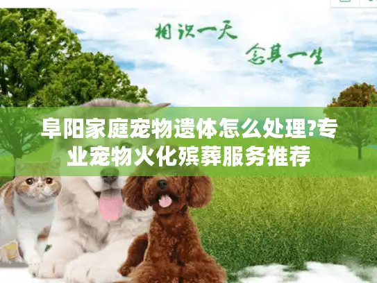 阜阳家庭宠物遗体怎么处理?专业宠物火化殡葬服务推荐