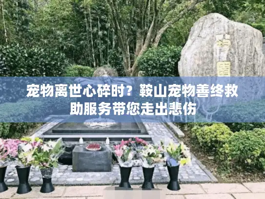 宠物离世心碎时？鞍山宠物善终救助服务带您走出悲伤