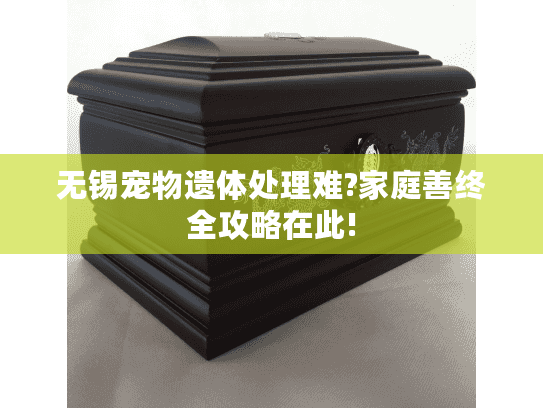 无锡宠物遗体处理难?家庭善终全攻略在此!