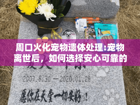 周口火化宠物遗体处理:宠物离世后，如何选择安心可靠的火化服务？