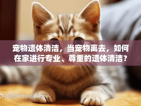 宠物遗体清洁，当宠物离去，如何在家进行专业、尊重的遗体清洁？