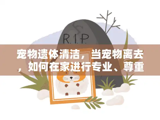 宠物遗体清洁，当宠物离去，如何在家进行专业、尊重的遗体清洁？