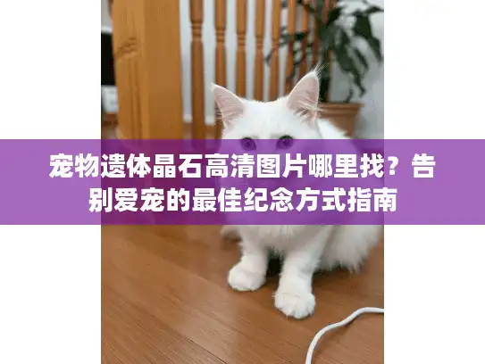 宠物遗体晶石高清图片哪里找？告别爱宠的最佳纪念方式指南