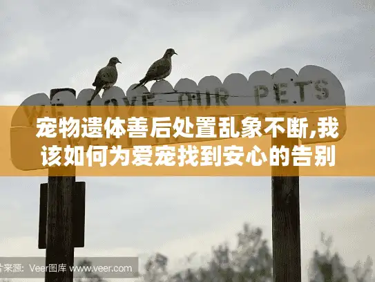 宠物遗体善后处置乱象不断,我该如何为爱宠找到安心的告别服务? 宠物遗体善后处置乱象不断,我该如何为爱宠找到安心的告别服务?