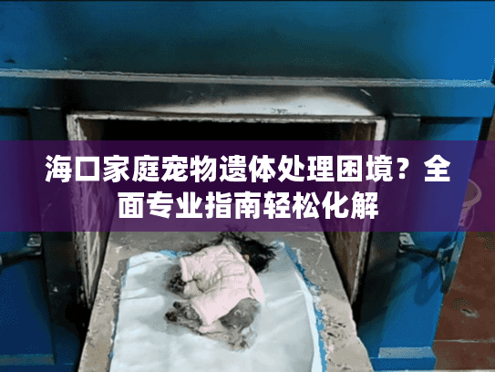 海口家庭宠物遗体处理困境？全面专业指南轻松化解