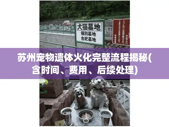 苏州宠物遗体火化完整流程揭秘(含时间、费用、后续处理)