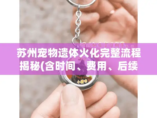 苏州宠物遗体火化完整流程揭秘(含时间、费用、后续处理)