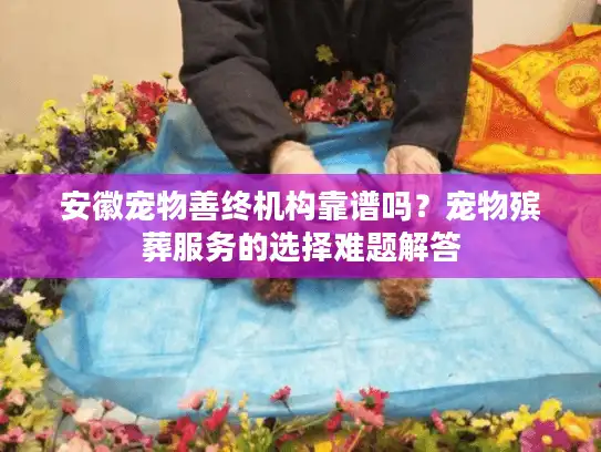 安徽宠物善终机构靠谱吗?宠物殡葬服务的选择难题解答 安徽宠物善终机构靠谱吗?宠物殡葬服务的选择难题解答