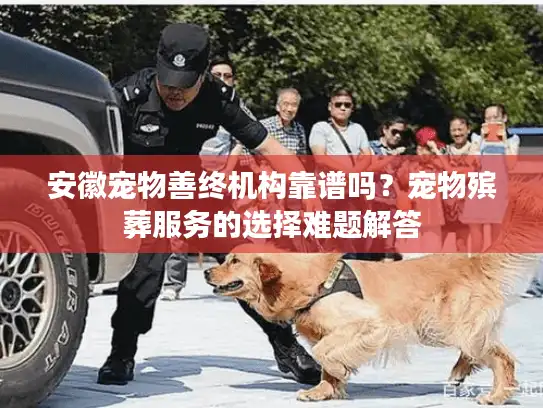 安徽宠物善终机构靠谱吗?宠物殡葬服务的选择难题解答 安徽宠物善终机构靠谱吗?宠物殡葬服务的选择难题解答